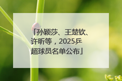 孙颖莎、王楚钦、许昕等，2025乒超球员名单公布