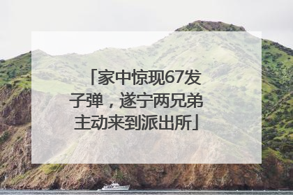 家中惊现67发子弹，遂宁两兄弟主动来到派出所