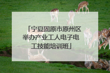 宁夏固原市原州区举办产业工人电子电工技能培训班