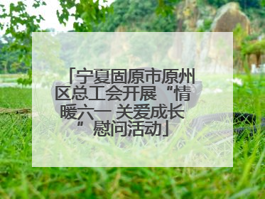 宁夏固原市原州区总工会开展“情暖六一 关爱成长”慰问活动