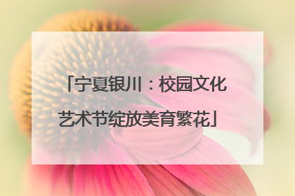 宁夏银川：校园文化艺术节绽放美育繁花