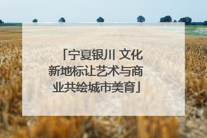 宁夏银川 文化新地标让艺术与商业共绘城市美育