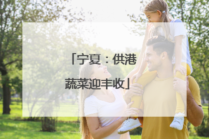 宁夏：供港蔬菜迎丰收