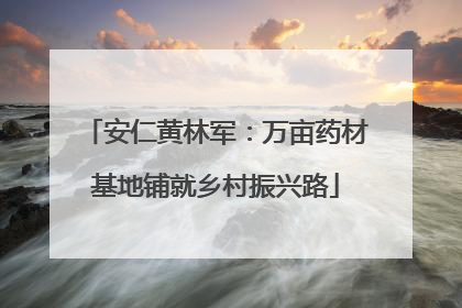安仁黄林军：万亩药材基地铺就乡村振兴路