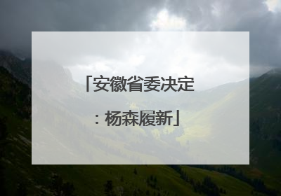安徽省委决定：杨森履新