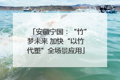 安徽宁国：“竹”梦未来 加快“以竹代塑”全场景应用
