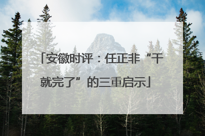 安徽时评：任正非“干就完了”的三重启示