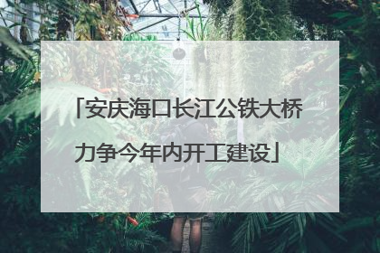 安庆海口长江公铁大桥力争今年内开工建设