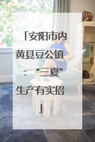 安阳市内黄县豆公镇：“三夏”生产有实招