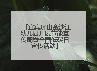 宜宾屏山金沙江幼儿园开展节能宣传周暨全国低碳日宣传活动