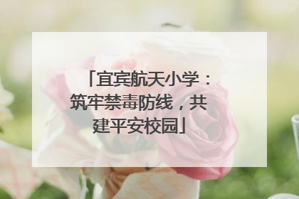 宜宾航天小学：筑牢禁毒防线，共建平安校园