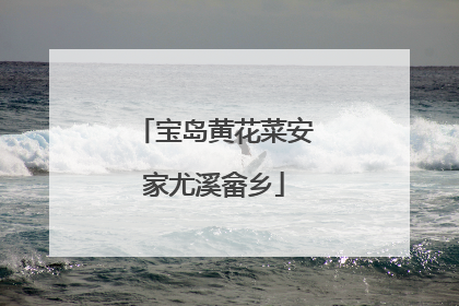 宝岛黄花菜安家尤溪畲乡