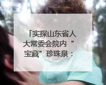 实探山东省人大常委会院内“宝藏”珍珠泉：乾隆曾为它题诗，游客无需预约免费游览