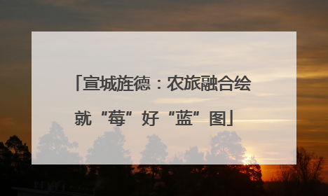 宣城旌德：农旅融合绘就“莓”好“蓝”图