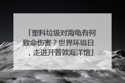 塑料垃圾对海龟有何致命伤害？世界环境日，走进开普敦海洋馆
