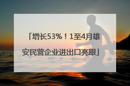 增长53%！1至4月雄安民营企业进出口亮眼
