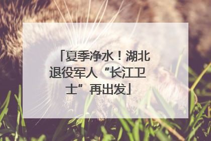 夏季净水！湖北退役军人“长江卫士”再出发