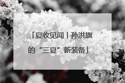 夏收见闻丨孙洪旗的“三夏”新装备
