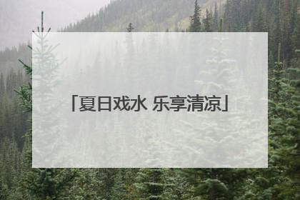夏日戏水 乐享清凉