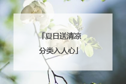 夏日送清凉 分类入人心