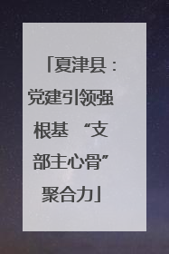 夏津县：党建引领强根基 “支部主心骨”聚合力