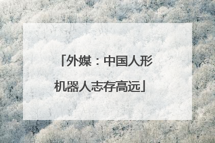 外媒：中国人形机器人志存高远