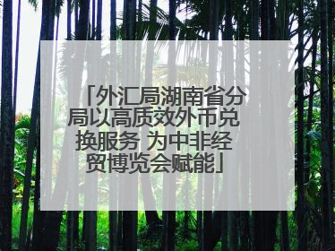 外汇局湖南省分局以高质效外币兑换服务 为中非经贸博览会赋能