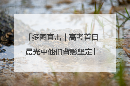 多图直击｜高考首日 晨光中他们背影坚定