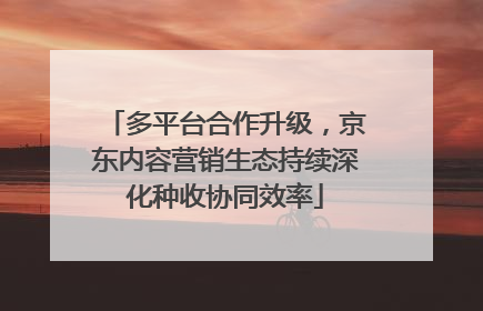 多平台合作升级，京东内容营销生态持续深化种收协同效率