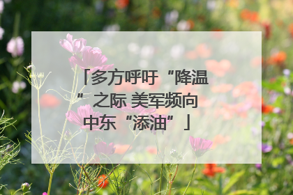 多方呼吁“降温”之际 美军频向中东“添油”