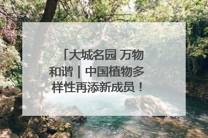 大城名园 万物和谐｜中国植物多样性再添新成员！它只在西藏墨脱