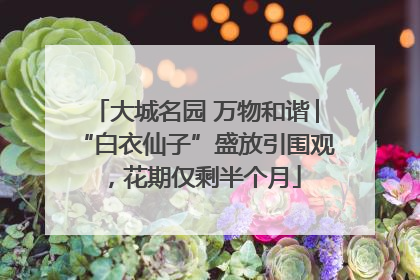 大城名园 万物和谐│“白衣仙子”盛放引围观，花期仅剩半个月