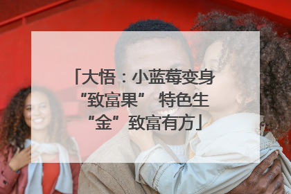 大悟：小蓝莓变身“致富果” 特色生“金”致富有方
