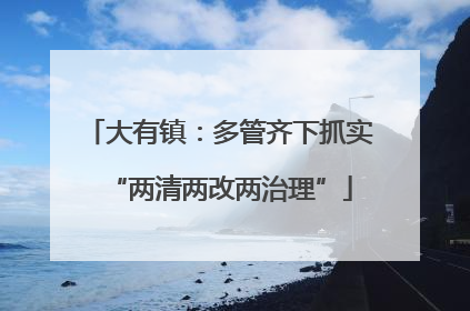 大有镇：多管齐下抓实“两清两改两治理”