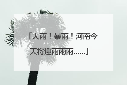 大雨！暴雨！河南今天将迎雨雨雨……