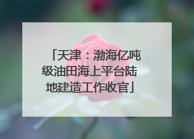 天津：渤海亿吨级油田海上平台陆地建造工作收官