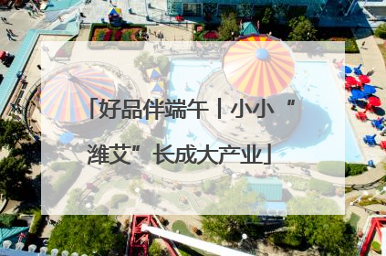 好品伴端午丨小小“潍艾”长成大产业