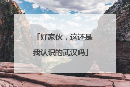 好家伙，这还是我认识的武汉吗