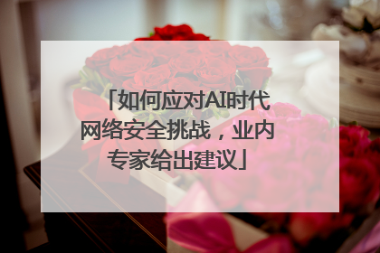 如何应对AI时代网络安全挑战，业内专家给出建议