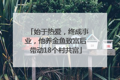 始于热爱，终成事业，他养金鱼致富后带动18个村共富