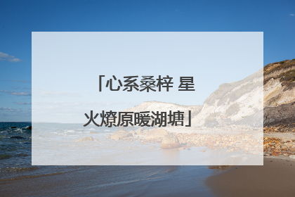 心系桑梓 星火燎原暖湖塘