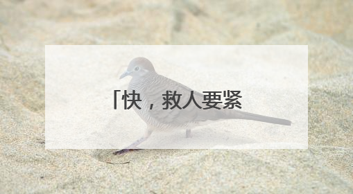 快，救人要紧！高速路上演极速狂奔~