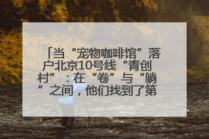 当“宠物咖啡馆”落户北京10号线“青创村”：在“卷”与“躺”之间，他们找到了第三种生活公式