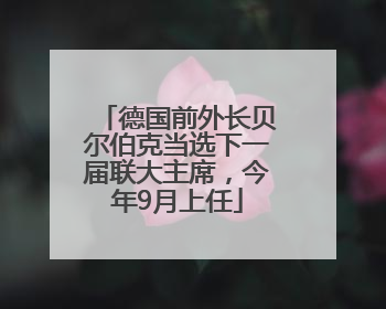 德国前外长贝尔伯克当选下一届联大主席，今年9月上任