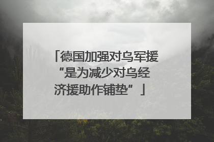 德国加强对乌军援 “是为减少对乌经济援助作铺垫”