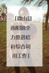 微山县南阳镇全力推进秸秆综合利用工作