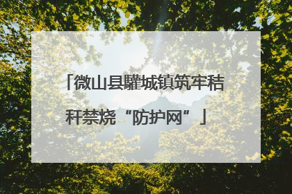 微山县驩城镇筑牢秸秆禁烧“防护网”