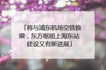 将与浦东机场空铁换乘，东方枢纽上海东站建设又有新进展