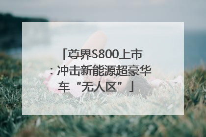 尊界S800上市：冲击新能源超豪华车“无人区”