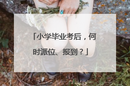 小学毕业考后，何时派位、报到？